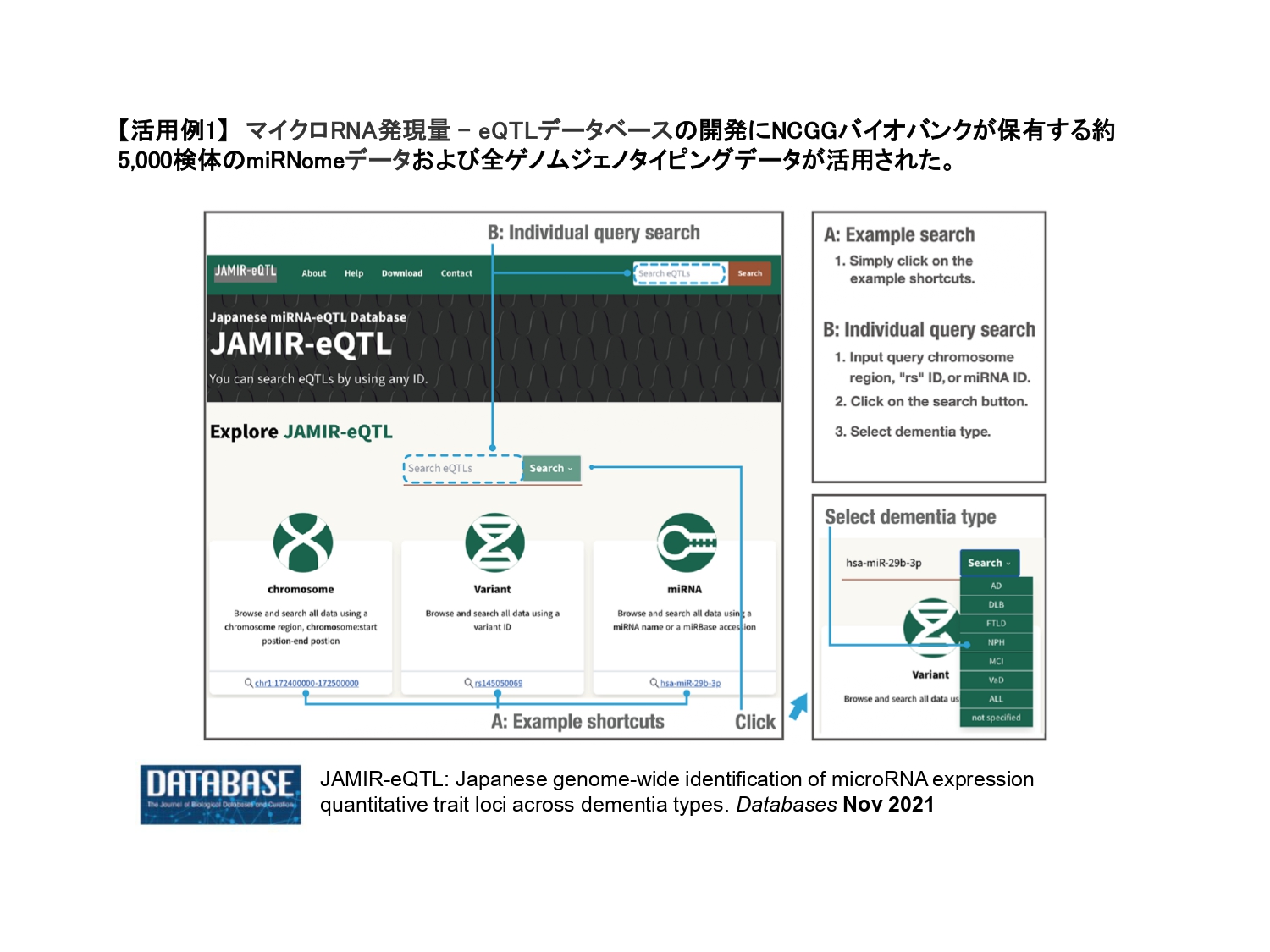 研究成果長寿医療研究センター_2022_1