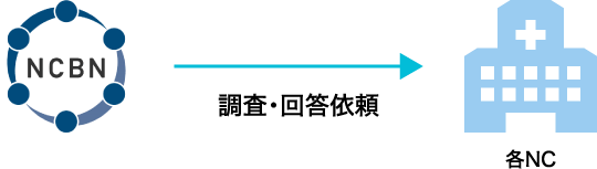 NCBN中央バイオバンク事務局から各NCへ調査・回答依頼（※原則として2週間以内に回答いたします）
